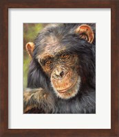 Framed Chimp The Thinker