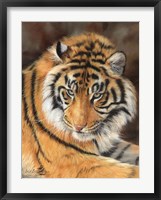 Framed Tiger 10