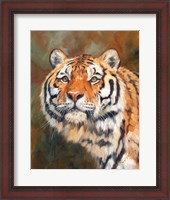 Framed Tiger 1111