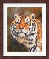 Framed Tiger 1111