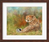 Framed Cheetah Grass