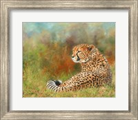 Framed Cheetah Grass