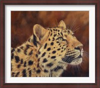 Framed Leopard Portrait Looking Up Right