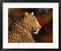 Framed Leopard Looking Right