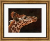 Framed Giraffe Portrait