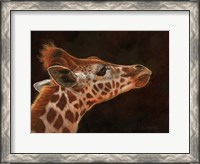 Framed Giraffe Portrait