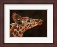 Framed Giraffe Portrait