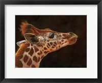 Framed Giraffe Portrait