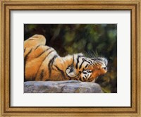 Framed Tiger On Back