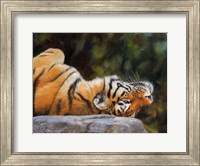 Framed Tiger On Back