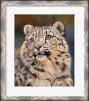 Framed Snow Leopard 6