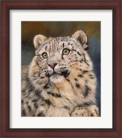 Framed Snow Leopard 6