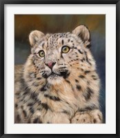 Framed Snow Leopard 6