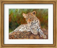 Framed Lazy Leopard