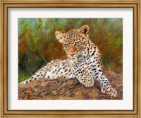 Framed Lazy Leopard