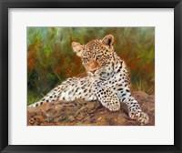 Framed Lazy Leopard