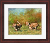 Framed Lion Cubs Running