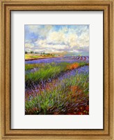 Framed Lavender Field