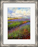 Framed Lavender Field