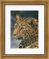 Framed Leopard Portrait 2