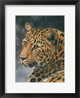 Framed Leopard Portrait 2