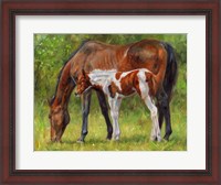 Framed Horse And Foal Grazing