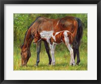 Framed Horse And Foal Grazing