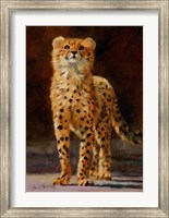 Framed Cheetah Cub
