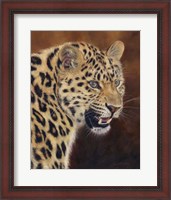 Framed Leopard Growl