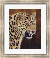 Framed Leopard Growl