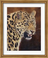 Framed Leopard Growl