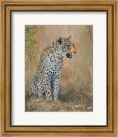 Framed Leopard