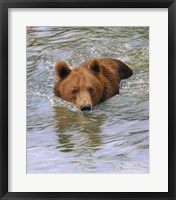 Framed Bear Water