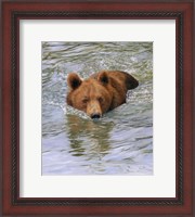 Framed Bear Water