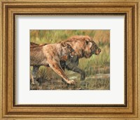 Framed Lion And Lioness