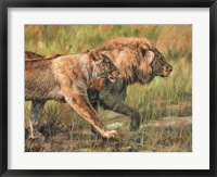 Framed Lion And Lioness
