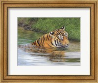 Framed Tiger Water 2