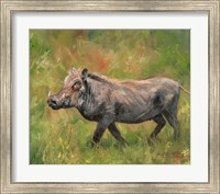Framed Warthog