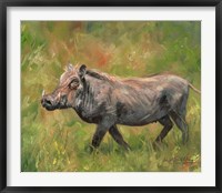 Framed Warthog