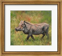 Framed Warthog