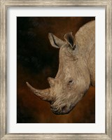 Framed Rhino 2