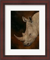 Framed Rhino 2