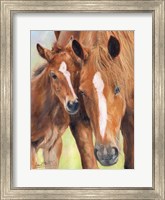 Framed Horse And Foal