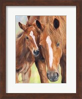 Framed Horse And Foal