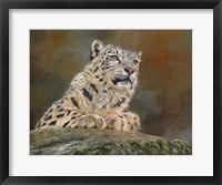 Framed Snow Leopard Rock