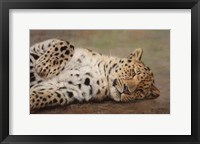 Framed Resting Leopard