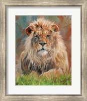 Framed Lion Front 1012