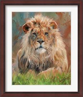 Framed Lion Front 1012