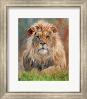 Framed Lion Front 1012