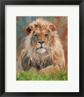 Framed Lion Front 1012